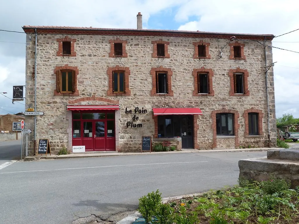 B&B Chez Camille Auberge Maison D'Hotes Bussy-Albieux France